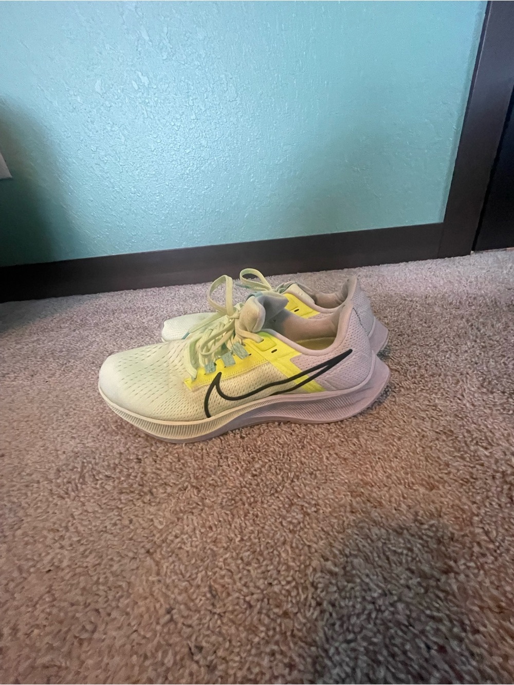 Nike Air Zoom Pegasus 38